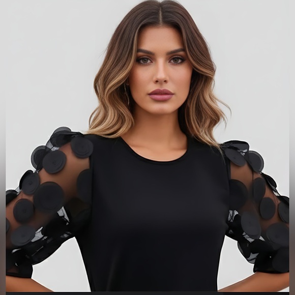 Mesh Appliques Puff Sleeve Blouse Black - Picture 3 of 9